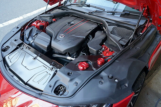 TOYOTA SUPRA 【Type:DB#2】Drycarbon reservoir tank cover 1pcs/st630【for RHD&LHD】