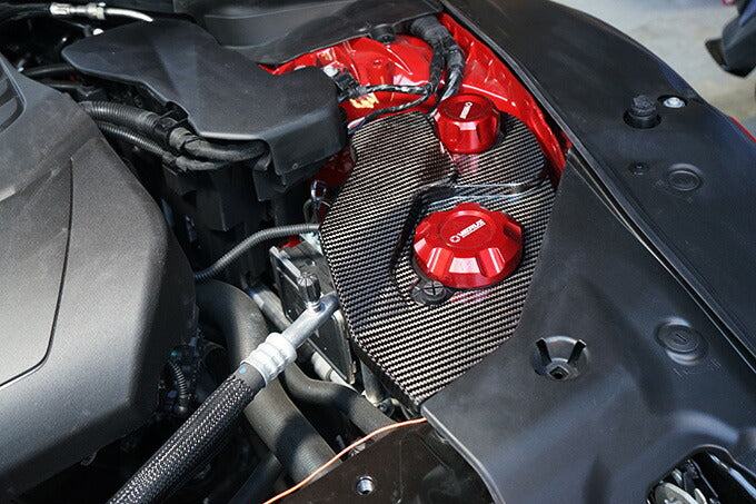 TOYOTA SUPRA 【Type:DB#2】Drycarbon reservoir tank cover 1pcs/st630【for RHD&LHD】