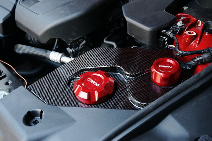 TOYOTA SUPRA 【Type:DB#2】Drycarbon reservoir tank cover 1pcs/st630【for RHD&LHD】