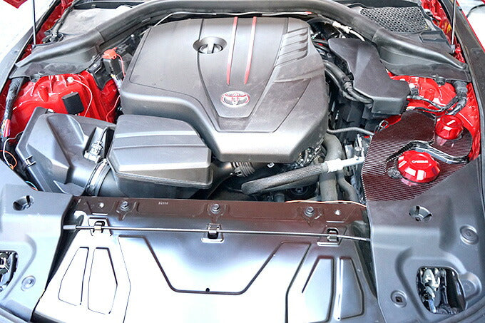 TOYOTA SUPRA 【Type:DB#2】Drycarbon reservoir tank cover 1pcs/st630【for RHD&LHD】