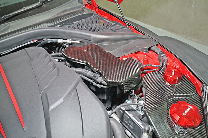 TOYOTA SUPRA 【Type:DB#2】Drycarbon ECU cover 1pcs/st636【for RHD&LHD】