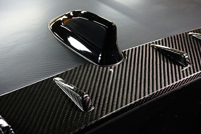 TOYOTA GR YARIS【Type:SERIES 10】Drycarbon vortex generator/st737【for RHD&LHD】